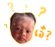 842291522