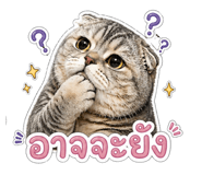 842291597