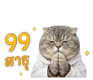 842291613