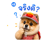 842291743