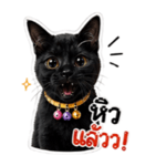 842291909