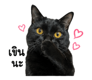 842292067