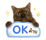 842292167