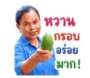 842292242