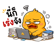 842292273