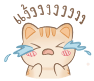 842292311