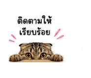 842292354