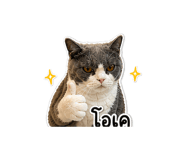 842292357