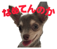 842293042