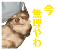 842293050