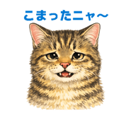 842293244