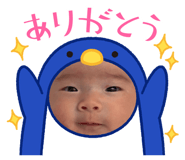842293324