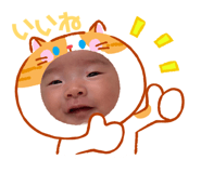 842293331