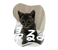 842293342