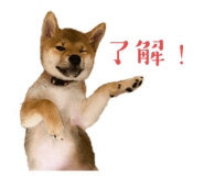 842293346