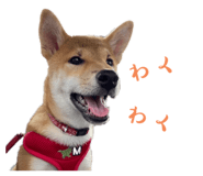 842293354