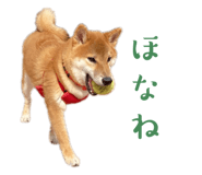 842293357