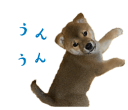 842293359