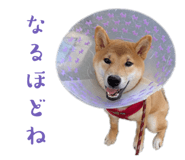 842293365