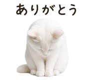 842293405