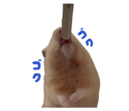 842293590