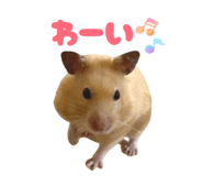 842293600