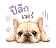 842294080