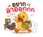 842294810