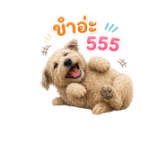 842295186