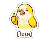 842295196