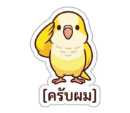 842295200