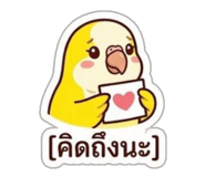 842295205