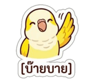 842295206