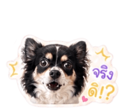 842295318