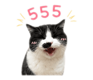 842295367