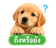 842296286