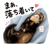 842296679