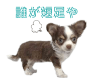 842296810