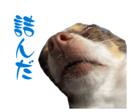 842296814