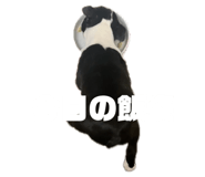 842297605