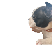 842297607