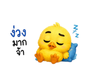 842297804