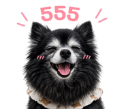 842297947
