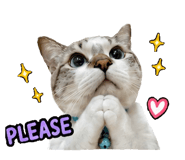 842297969