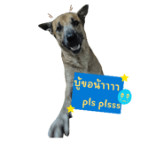 842299017