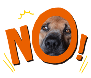842299021