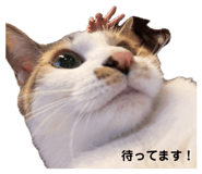 842299903