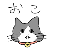 842300025