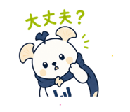 842300339