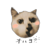 842300561